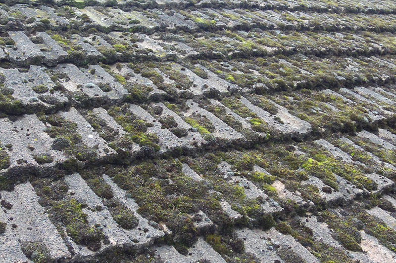 Démoussage et nettoyage de toiture à Carrières-sur-Seine